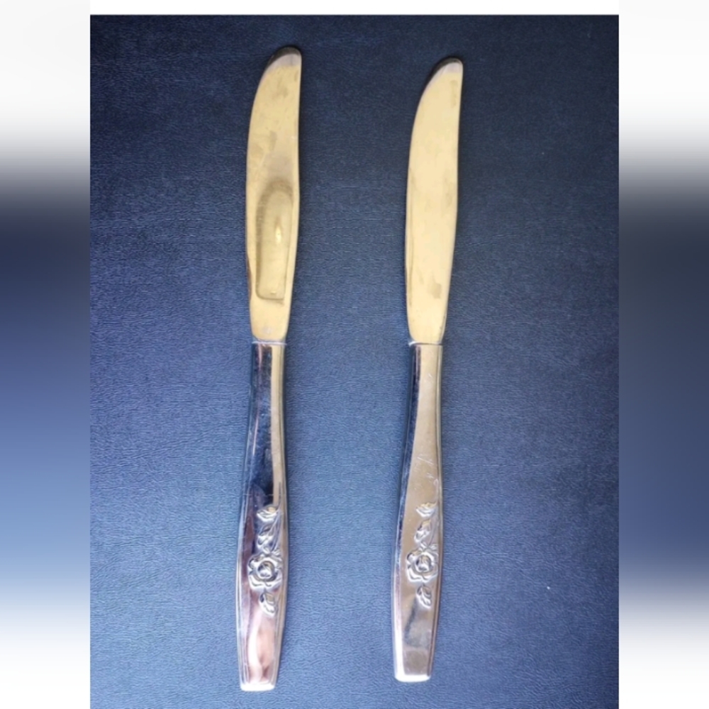Oneida OUR ROSE Stainless 2 Dinner Knives SSS Scientific Glossy Flatware